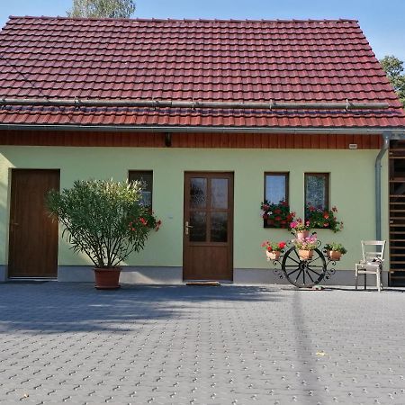 Schaffrath'S - Ferienhaus ホーンシュタイン エクステリア 写真